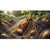 Root Factor Estimulador De Raíz (auxinas) Aminoácidos 1 L