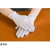 Nishida Firuru Salon de Onte Gloves, Pack of 10 Pairs