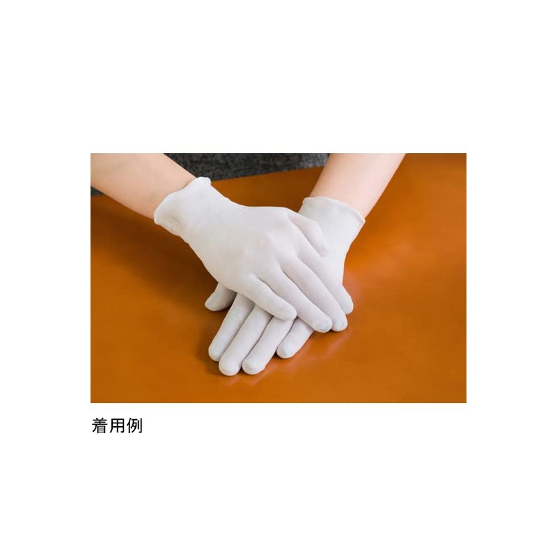 Nishida Firuru Salon de Onte Gloves, Pack of 10 Pairs