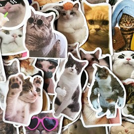 100pcs Funny Cat Stickers, Cute Cat Meme Sticker Pack for Laptops,Phone,Bumper,Skateboard,Water Bottles,Bike,Guitar, Kids Teens Adults Kawaii Animal Decals