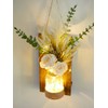 Anna's Whimsy 2PACK Mason Jar Sconce Wall Decor Rustic with