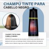 Shampoo Tinte Instantáneo Cubre Canas Natural Fácil 200ml