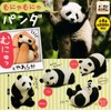 Squishy Panda (Complete Set of 4 Types)