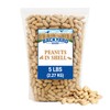 CountryMax Backyard Seeds in-Shell Raw Unprocessed Peanuts 5lbs - Premium