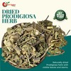 NY Spice Shop Dried Raw Prodigiosa Herb - 4 Ounce
