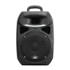 Audio 2000 PA6408HL Dual Channel 50W 8" Woofer PA System