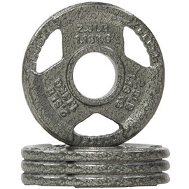 Fitvids Olympic Cast Iron 2-Inch Weight Plate for Strength Training & Weightlifting, Multiple Weights Available, 25LB (Pair)"