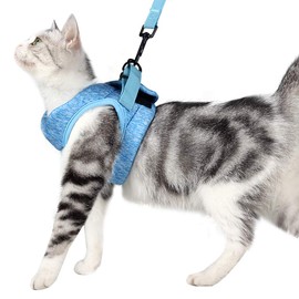 HEYWEAN Cat Harness and Leash - Ultra Light Escape Proof Kitten Collar Cat Walking Jacket with Running Cushioning Soft and Comfortable Suitable for Puppies Rabbits