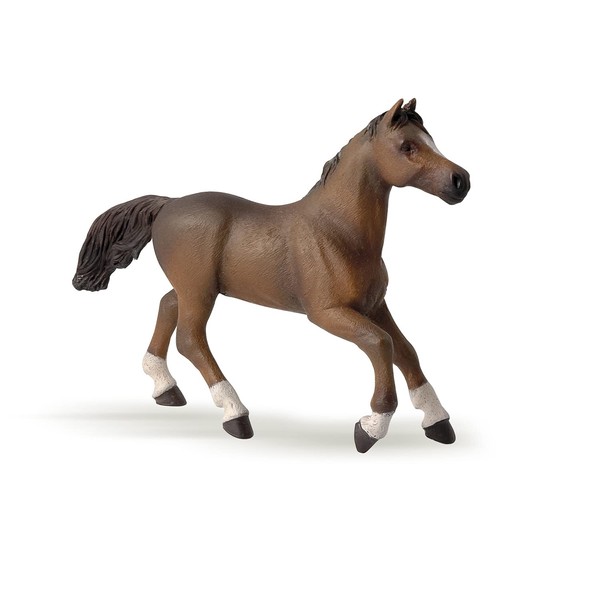 Papo - Hand-Painted - Figurine - Horses,Foals and Ponies - Anglo-Arab Mare Figure-51075 - Collectible - for Children - Suitable for Boys and Girls - from 3 Years Old