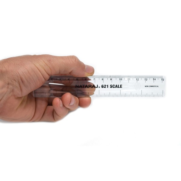Eisco Labs 6" (15cm) Shatterproof Plastic Rulers - Pack of