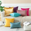 OTOSTAR Pack of 2 Velvet Soft Decorative Throw Pillow Covers