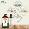 Organic Zing Sage (Salvia Officinalis L.) Oil | Pure &
