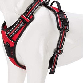 WINHYEPET Truelove Dog Harness No-Pull Reflective Adjustable Pet Harness with 2 Lead Clips, Easy Control Handle for Small, Medium and Large Dogs, TLH5651