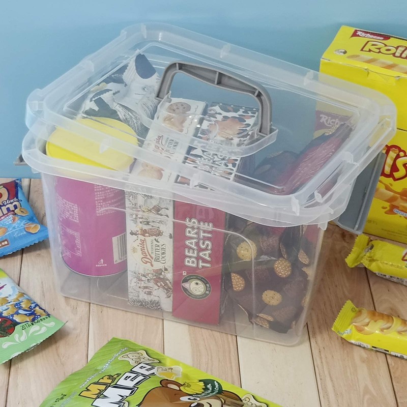 Leendines 5 Quart Storage Box with Lid, 6 Packs Small