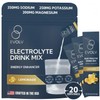 EVOLV Electrolytes Powder Packets – Electrolyte Packets with Palatinose, Sodium
