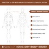 Hydrea London Ionic Copper Glow Dry Body Brush – Skin