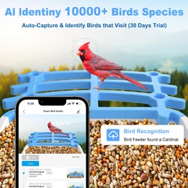 Smart Bird Feeder with Camera, Birdfeeder Outdoors Solar Powered, AI Identify Outside Bird House Cam 3K Video HD, Auto Capture & Motion Detection Live Watching, for Birds Lovers Present