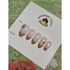 [Handmade Nail Tips] Hope Nail - M Coffin / [수제네일팁]