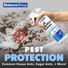 NatureStop Ant Repellent Spray for Indoor Use, Ant Deterrent with