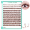 Bodermincer Bodermincer 400pcs D Curl Lash Clusters 8-10-12-14mm/10-12-14-16mm MIX Fish