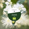 NeoOrganic® Organic Myrtle Oil (Myrtus Communis) 100% Natural Organic Essential