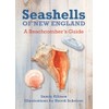Seashells of New England: A Beachcomber's Guide