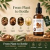 Best Nature's Cosmetics Aceite Virgen Orgánico de Nuez de Brasil