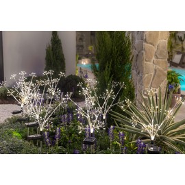 Warm Garden Solar Garden Lights - Waterproof Outdoor Solar Flower Lights & Gardening Gifts for Women, Perfect for Garden Decor and Yard Patio Pathway Decoration (2)