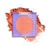 Urban Decay Face Bond Long-Lasting Blush Suede (Fleshed Out -