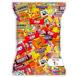 Individually Wrapped Mini Candy & Chocolate Mix - 1 lb Bulk Easter Candy Assortment - Easter Basket Stuffers, Pinata Stuffer Candies Variety Pack, Office CandyBowl Treats - Sweet & Chocolatey Flavors