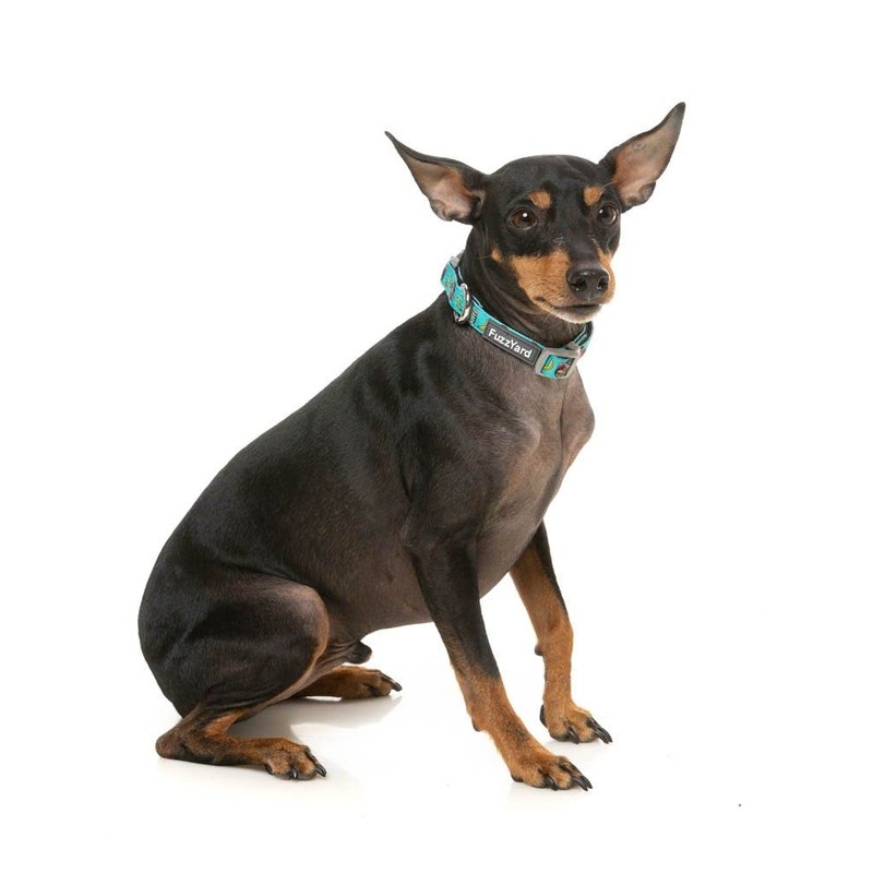 FuzzYard Gor-illz Monkey and Banana Adjustable Dog Collar (Large)