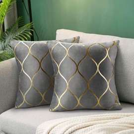 Hanrunsi Graue Kissenbezüge Samt 45cmx45cm Dekorative Quadratische Kissenbezüge 2er Pack Samt Kissenbezüge für Sofakissen für Couchbett Wohnzimmer Wohnkultur