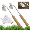 Pack of 2 Weeders, Manual Weeder Stainless Steel, Root Weeder