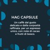 Hag - Capsule Caffè Decaffeinato Espresso Classico - 100 capsule