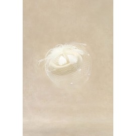 BABEYOND Fascinator Hat Veil Feather Fascinator Hair Clip Tea Party Pillbox Derby Hat Fascinator Bridal Wedding Veil