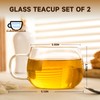 GURUDAR Glass Tea Cups Set of 2, Clear Borosilicate Glass