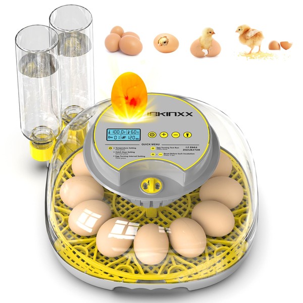 IBKINXX Incubator for Hatching Eggs-12 Egg Capacity, Automatic Egg Turner,
