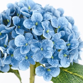 Coferset 5pcs Hydrangea Artificial Flowers Real Touch 20 inch Lifelike Hydrangea Flower for Home Wedding Office Party Living Room Decoration (Baby Blue)