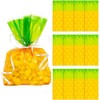 Fun Express Pineapple Cellophane Bags - 12 Pc