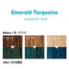 ANAP Color Treatment Pouch, 14.1 oz (400 g), Emerald Turquoise