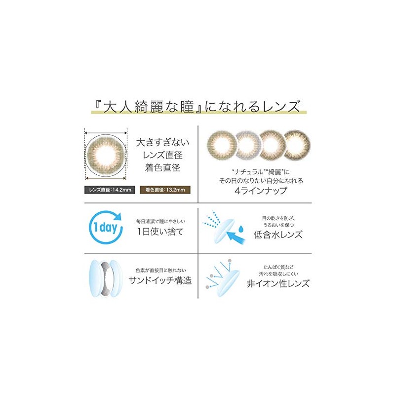 ヴィクトリアワンデーシンプルシリーズ カラコン・キャンディーマジック10枚入り（ダスティグレー）(±0.00)