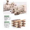 Cat Teeth Grinding Stick, Cat Chew Toy, Agatabi Tree, Kitten