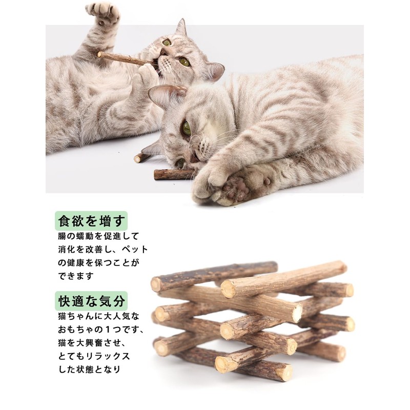 Cat Teeth Grinding Stick, Cat Chew Toy, Agatabi Tree, Kitten