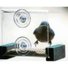 Songbird Essentials Mini Clear Window Mounted Bird Feeder with Green