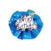 PET SHOW Blue Crown Dog Birthday Party Hat with Bandana