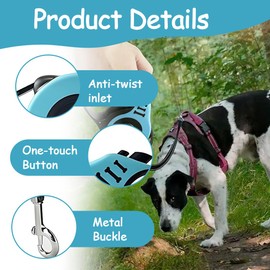 GNALIA Retractable Lead for Dogs 5 m Retractile with 360° Metal Carabiner 1 Piece Blue Rope for Small and Medium Dogs
