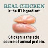 Dr. Pol Limited Ingredient Chicken Dog Food - Natural Healthy