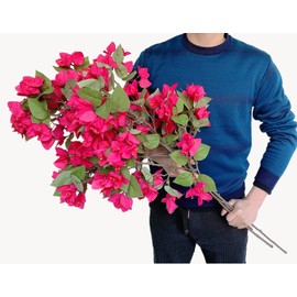 Olivachel Artificial Bougainvillea Silk Flower Branches Full Blossom Long Fake Flowers Stems for Wedding, Home and Garden Decoration - 34.5 inch (Fuchsia - Pack of 4)