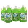 Snappy Frosti Tropics Green Apple Slush Mix, 1/2 Gallon, 6