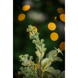 Marco Paul Rustic Artificial Christmas Tree in Burlap Sack Decorative Festive Xmas Faux Foliage Home Decoration Festive Décor Xmas Indoor Ornament Table Centrepiece (Large Tree With Pinecones)